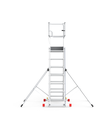 Guardmax Telescopic Ladder
